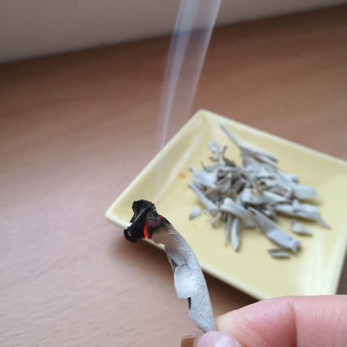 ホワイトセージで心身ともにスッキリしよう！！
