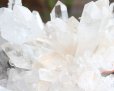 画像7: アーカンソー産 水晶 クラスター ◆2730グラム (7)