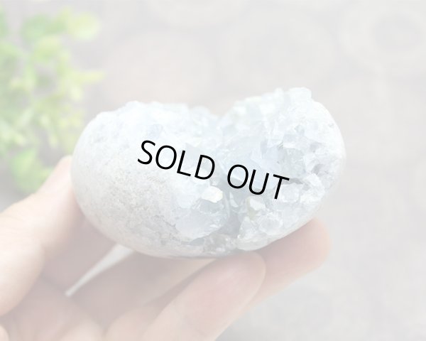 画像5: セレスタイト クラスター エッグ型 400g 天然石 原石 置石