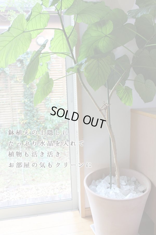 画像8: 約1.6kg お得パック【アウトレット】30個入☆かちわり天然水晶  浄化 地鎮祭 鎮め物