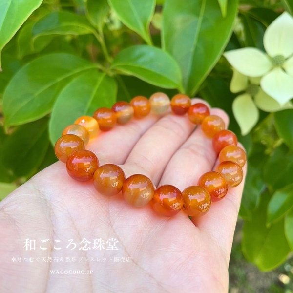 画像5: 10ミリ カーネリアン パワーストーン ブレスレット メンズ レディース 男性用 女性用 オレンジ マーブル 天然石ブレスレット 秋