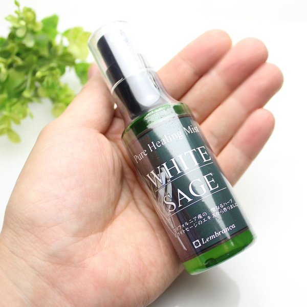 画像7: 安心安全セージスプレー♪ シュッとひと吹きするだけ♪ 簡単空間浄化◆ピュアヒーリングミスト（ホワイトセージ スプレー）　※おまかせ無料配送対象外 (7)
