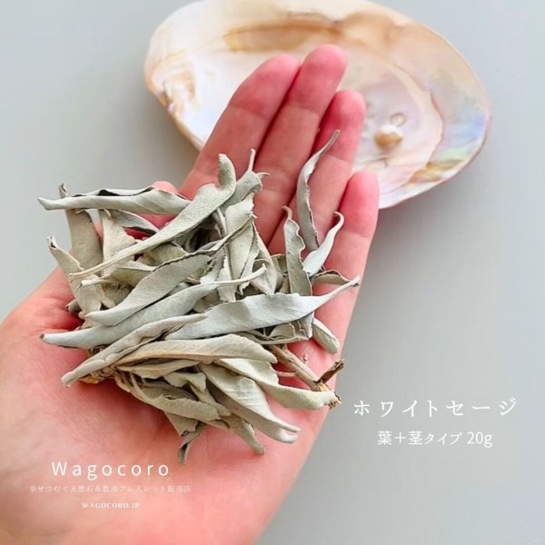 画像2: ◆天然石・空間の強力な浄化に◆浄化用ホワイトセージ 葉+茎タイプ 20g   (2)