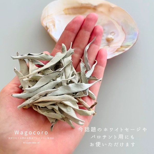 画像5: 今話題の♪天然淡水パール付き\\イケチョウ貝お皿//イケチョウガイ 皿 ホワイトセージ パロサント パワーストーンさざれ石 浄化皿 浄化用 浄化 皿 浄化グッズ アクセサリートレイ ジュエリー 置き (5)