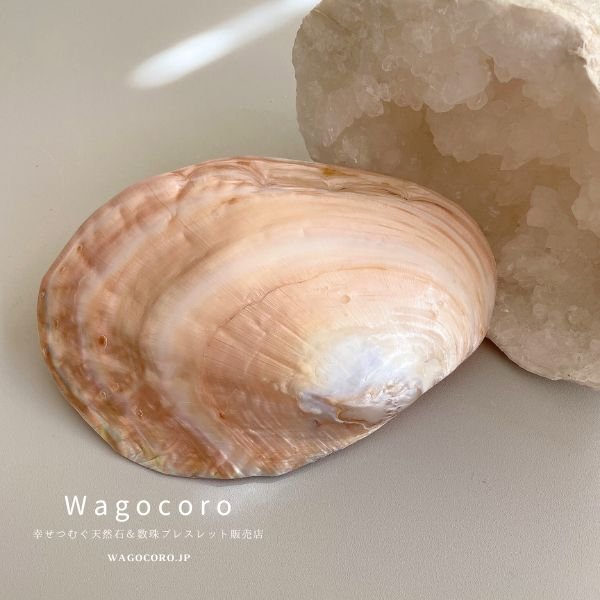 画像2: 今話題の♪天然淡水パール付き\\イケチョウ貝お皿//イケチョウガイ 皿 ホワイトセージ パロサント パワーストーンさざれ石 浄化皿 浄化用 浄化 皿 浄化グッズ アクセサリートレイ ジュエリー 置き (2)