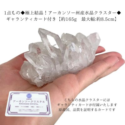 画像1: 1点もの◆極上結晶！アーカンソー州産水晶クラスター◆ ギャランティカード付き【約165g 最大幅:約8.5cm】４月誕生石 浄化 インテリア