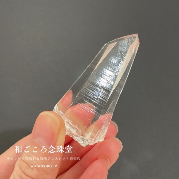 画像3: 現地買い付け品【一点もの】最高品質　コロンビア産　レムリアンシード 約6.7cm×約3cm 51g (3)