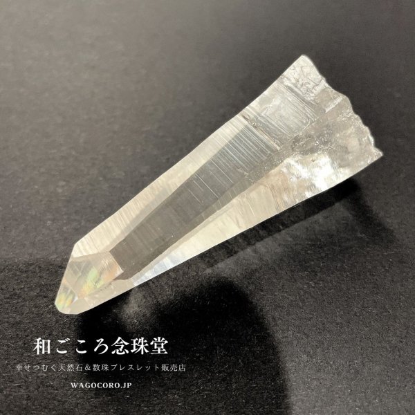 画像5: 現地買い付け品【一点もの】最高品質　コロンビア産　レムリアンシード 約6.7cm×約3cm 51g (5)