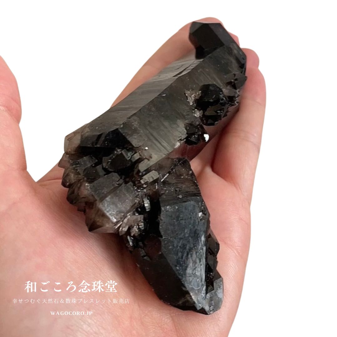 アーカンソー州産 モリオン(黒水晶)クラスターインテリア小物 - 置物